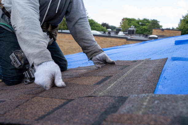 Best Shingle Roofing Installation  in Portage, PA