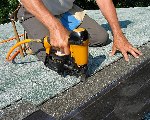 Best Roof Gutter Cleaning  in Portage, PA