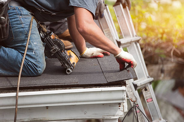 Roof Gutter Cleaning in Portage, PA